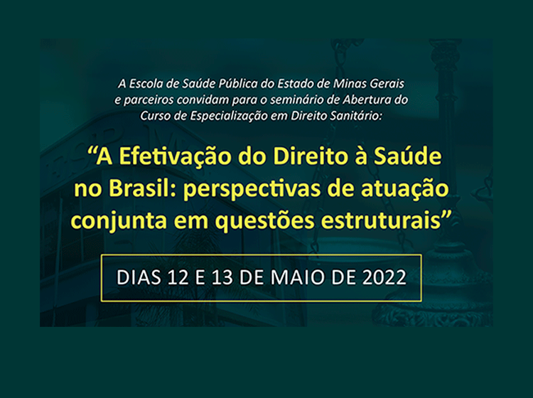 Seminário – A Efetivação do direito à saúde no Brasil