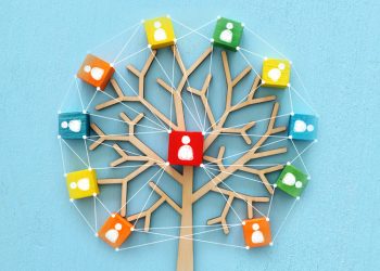 Introdução ao Direito Sistêmico: um novo paradigma para a solução de conflitos