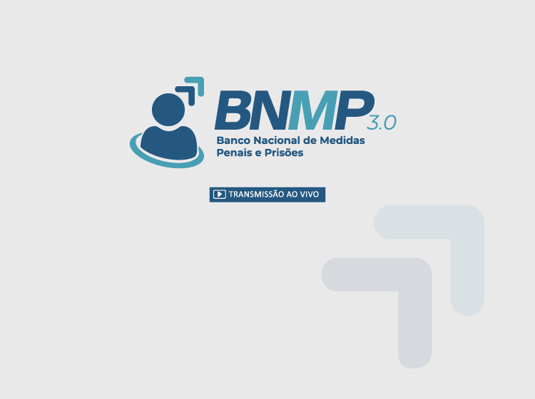 BNMP 3.0 – Banco Nacional de Medidas Penais e Prisões – Turma 2